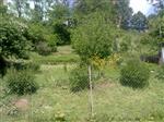 Se svolenm majitele nabzme k prodeji zahradu v lokalit Horn Palava Blansko pozemek m rozlohu 1086 m2.