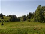 LEVN - Prodm rekrean pozemek v obci Frantiky nedaleko obce Borov u Poliky. Pozemek je v CHKO rsk Vrchy, oblast . 3, je obdlnkov, svait k lesu, vymen, veden jako ostatn plocha, nyn vyuvn pouze pro sklize sena. Frantiky jsou malebn rekrean oblast s ch ...