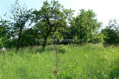 Pozemek - Zahrada Znojmo, Horn Leska